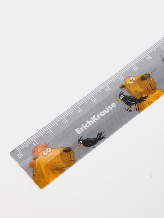 ErichKrause plastik lineykasi, 15 sm, 5 ta dizayndan iborat assortiment 61767