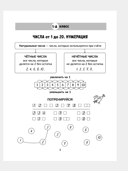 Barcha matematika qoidalari ko‘rgazmali misollar, nazorat va mashq mashqlari bilan