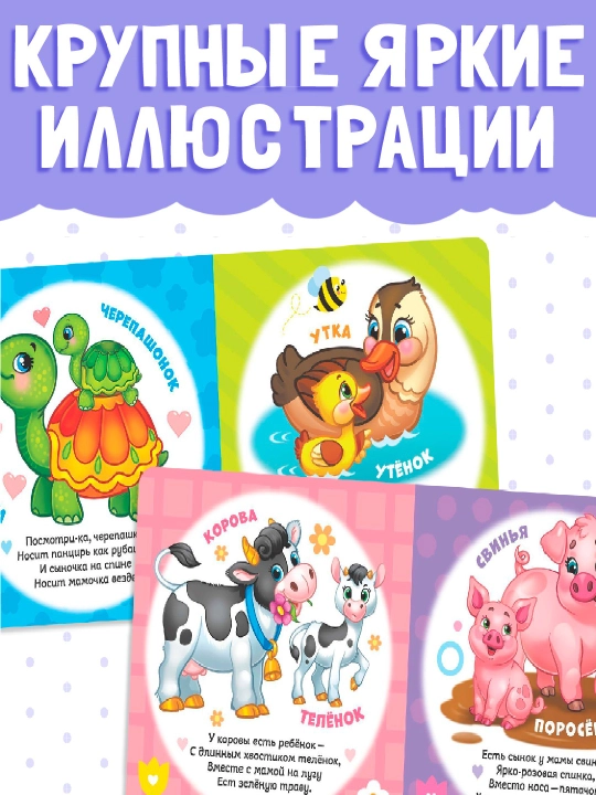 Bolalar uchun karton kitob,10 bet,alifbo,hayvonlar,raqamlar,transport,mevalar,sabzavotlar