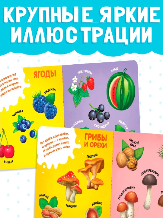 Картонная книга для малышей, 10 стр, азбука, животные, цифры, транспорт, фрукты, овощи
