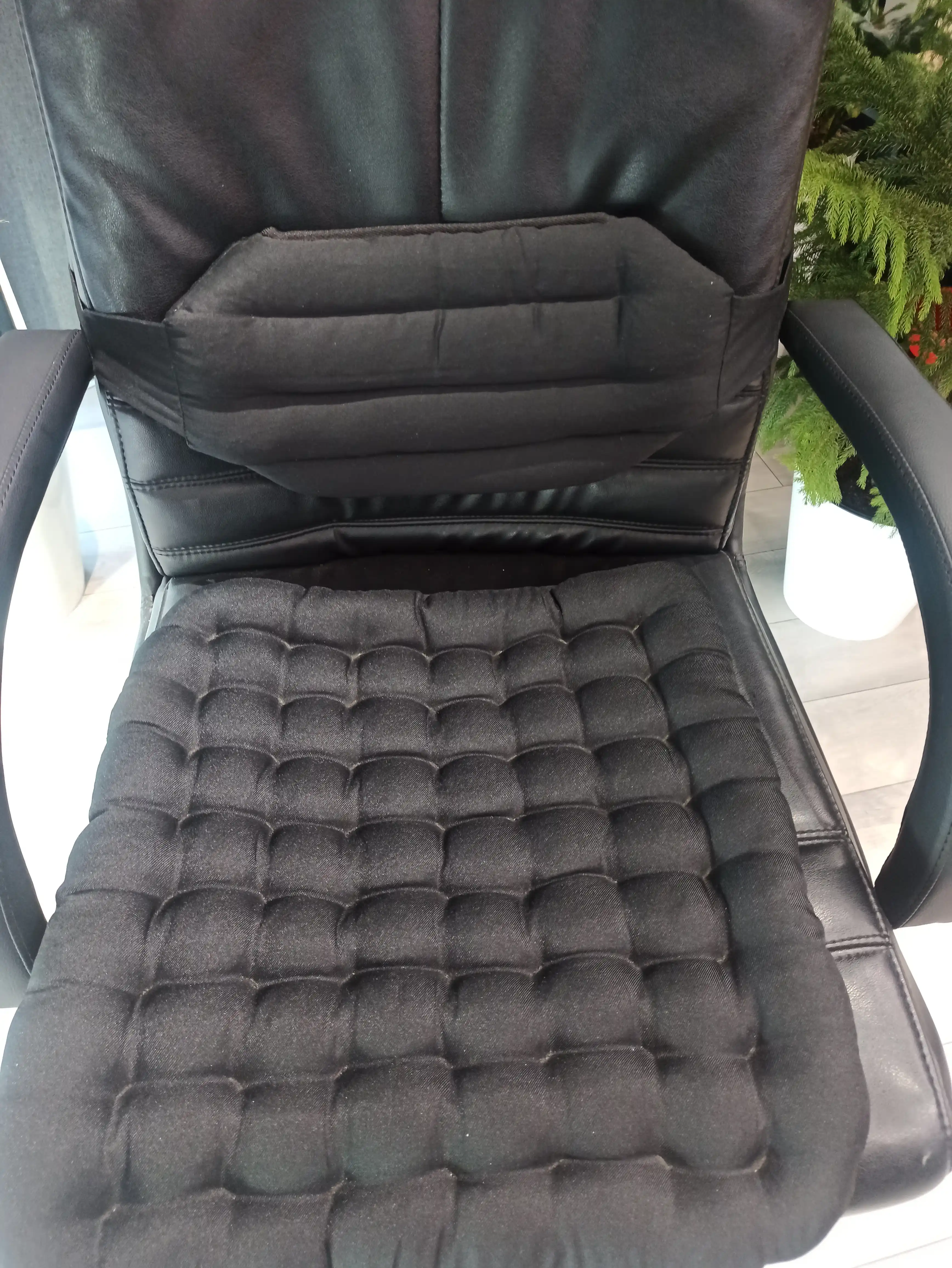Avtomobil o'rindiqlari uchun bel yostiqlari, Ecomfort