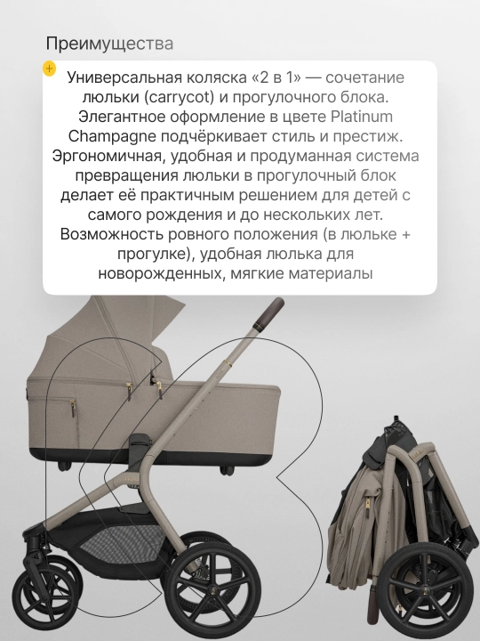 Коляска 2в1 KikkaBoo Goya Platinum