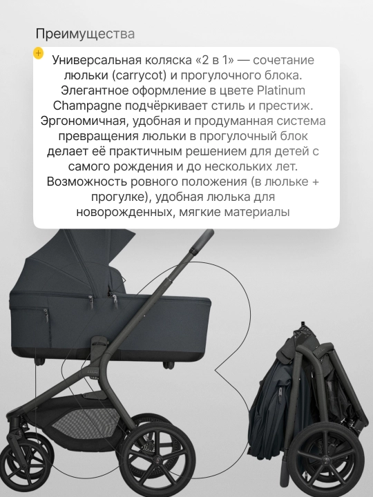 Коляска 2в1 KikkaBoo Goya Platinum