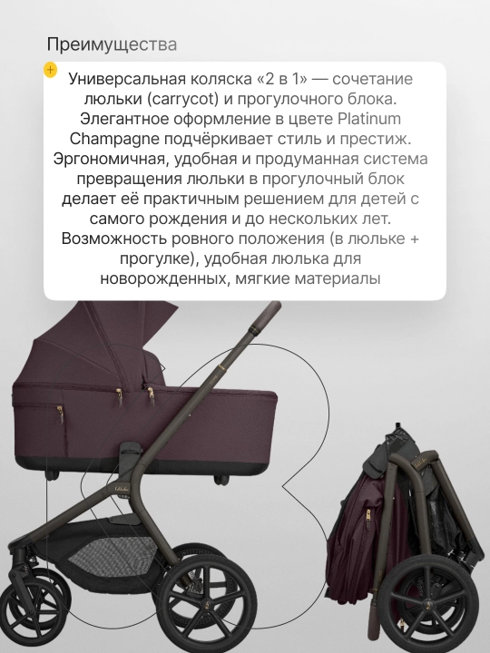 Коляска 2в1 KikkaBoo Goya Platinum