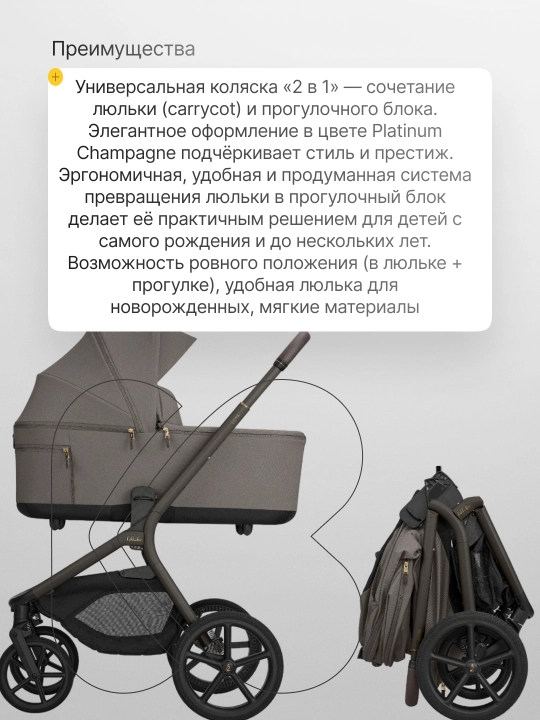Коляска 2в1 KikkaBoo Goya Platinum