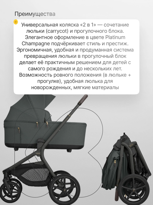 Коляска 2в1 KikkaBoo Goya Platinum