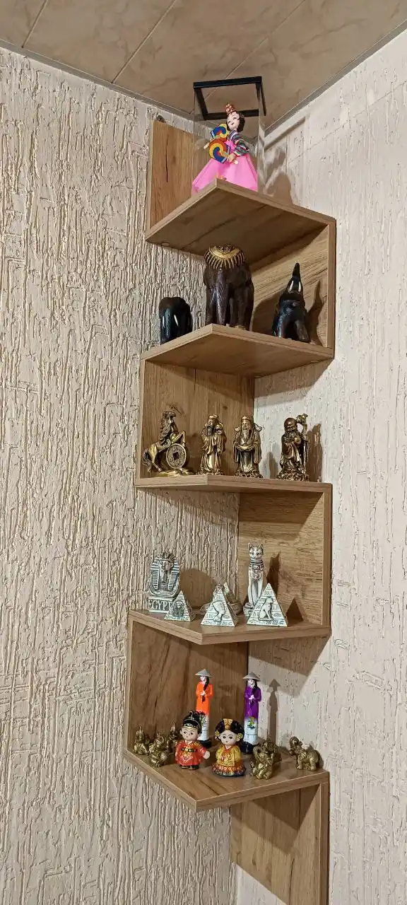 Kitoblar, gullar, kosmetika, o'yinchoq uchun devorga o'rnatilgan burchak tokchasi