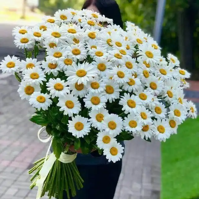 Сушилка для белья из нержавеющей стали, вмещает до 50 кг, 2-этаж
