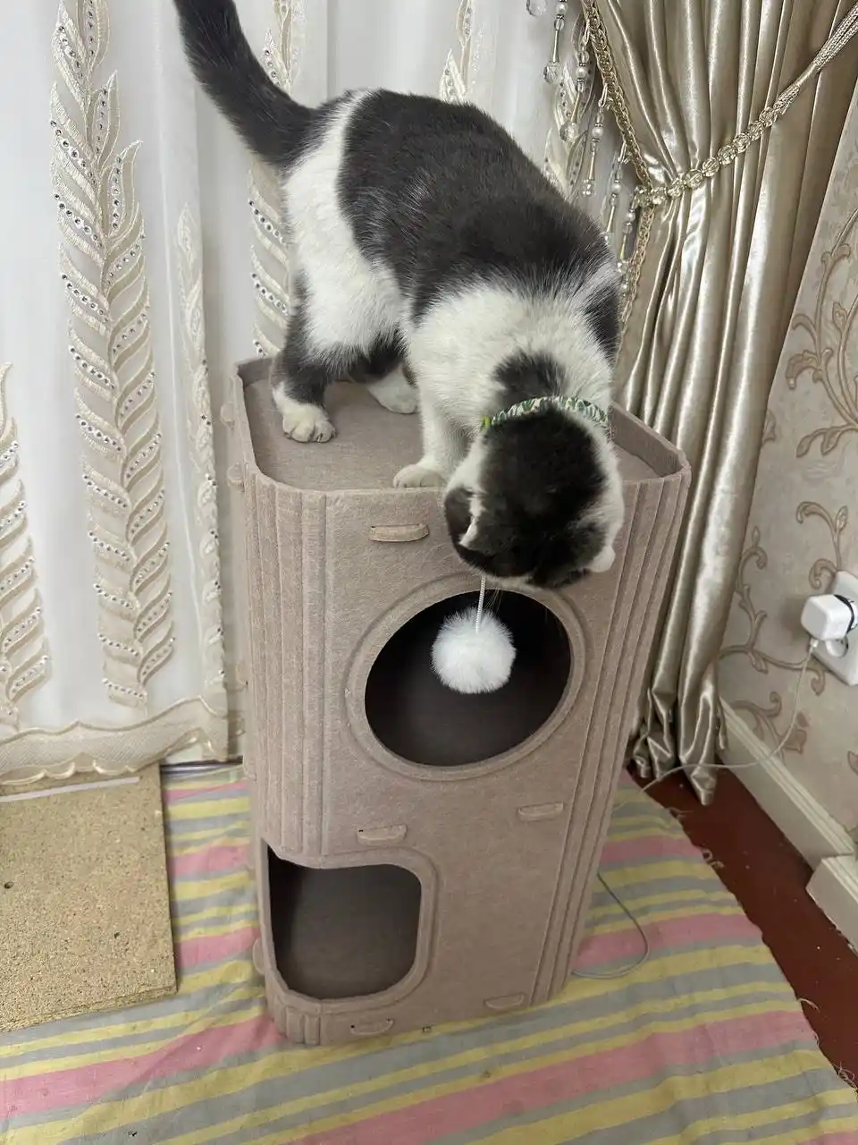 Кошачий дом