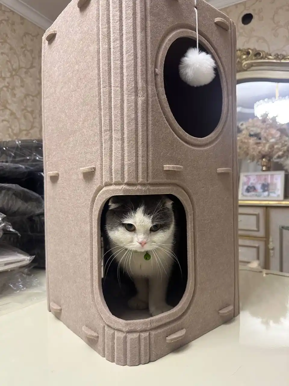 Кошачий дом
