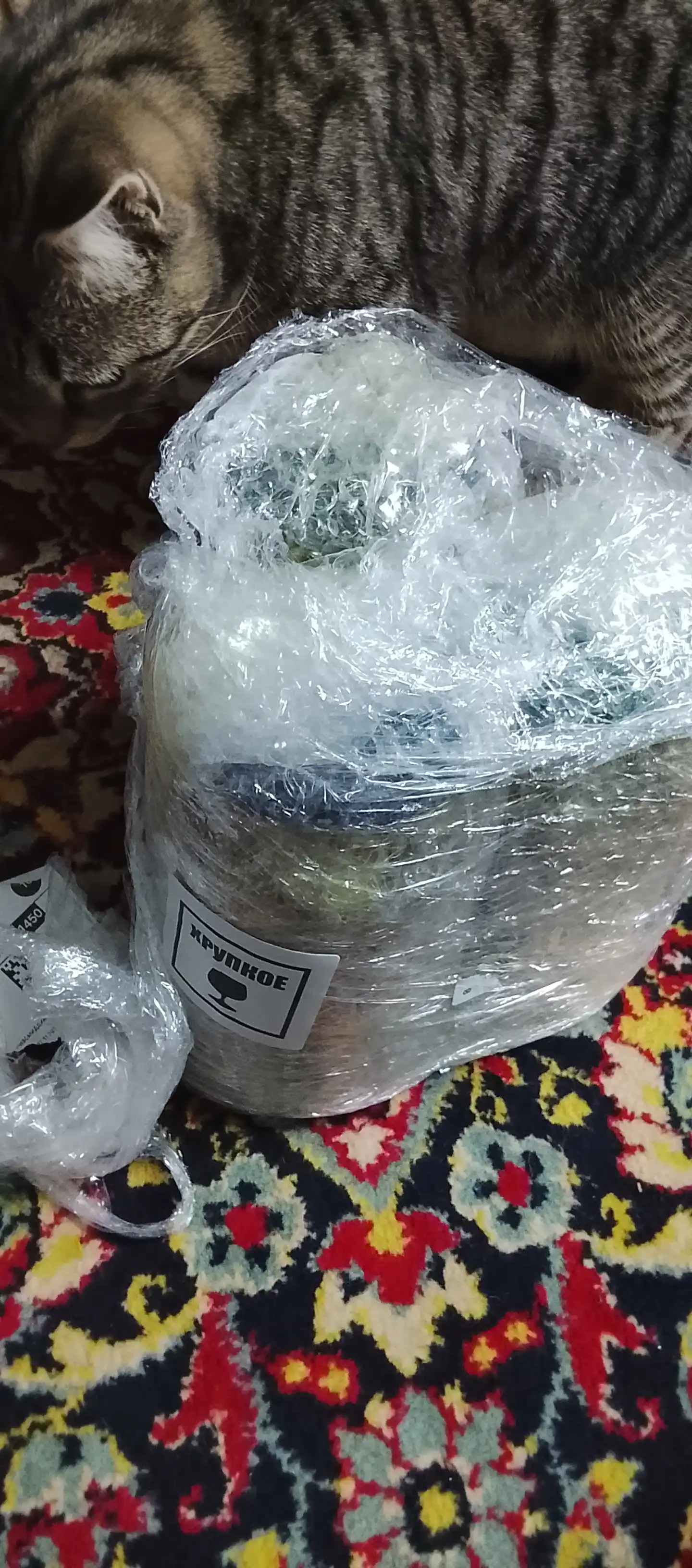 Tilimlarga kesilgan tuzlangan bodring, shisha idishlar 1 litrdan