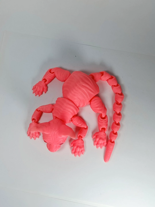 Sfinks mushuk, harakatlanuvchi o‘yinchoq mushuk, mushuk va antistress oqsil. 3d toys