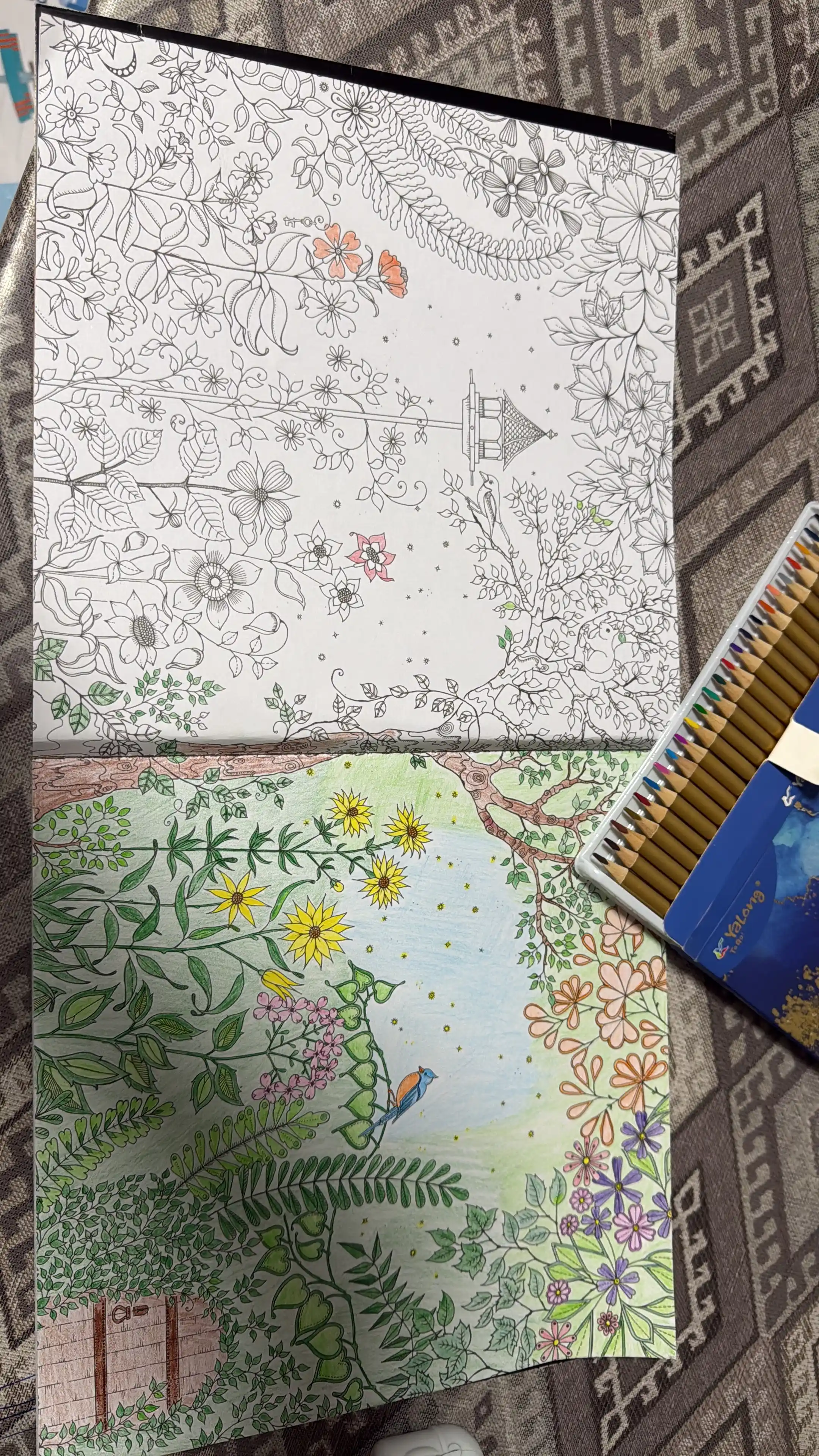 Mandala, anti-stress, boyash kitobi, raskraska, kattalar uchun, 96 bet, Secret garden