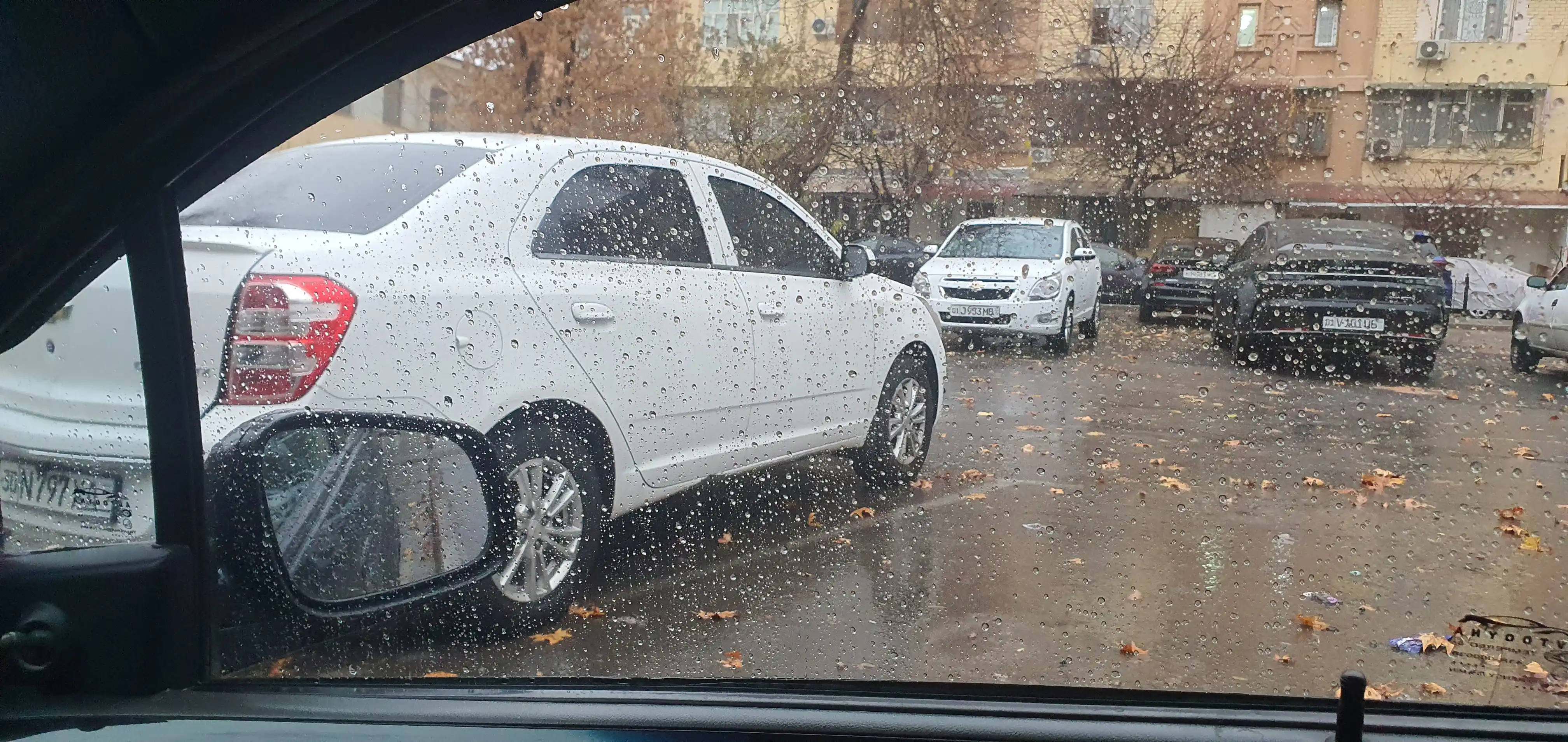 Avtomobil oynasi uchun yomg‘irga qarshi vosita, yog‘li qatlamni tozalovchi gubka-applikator