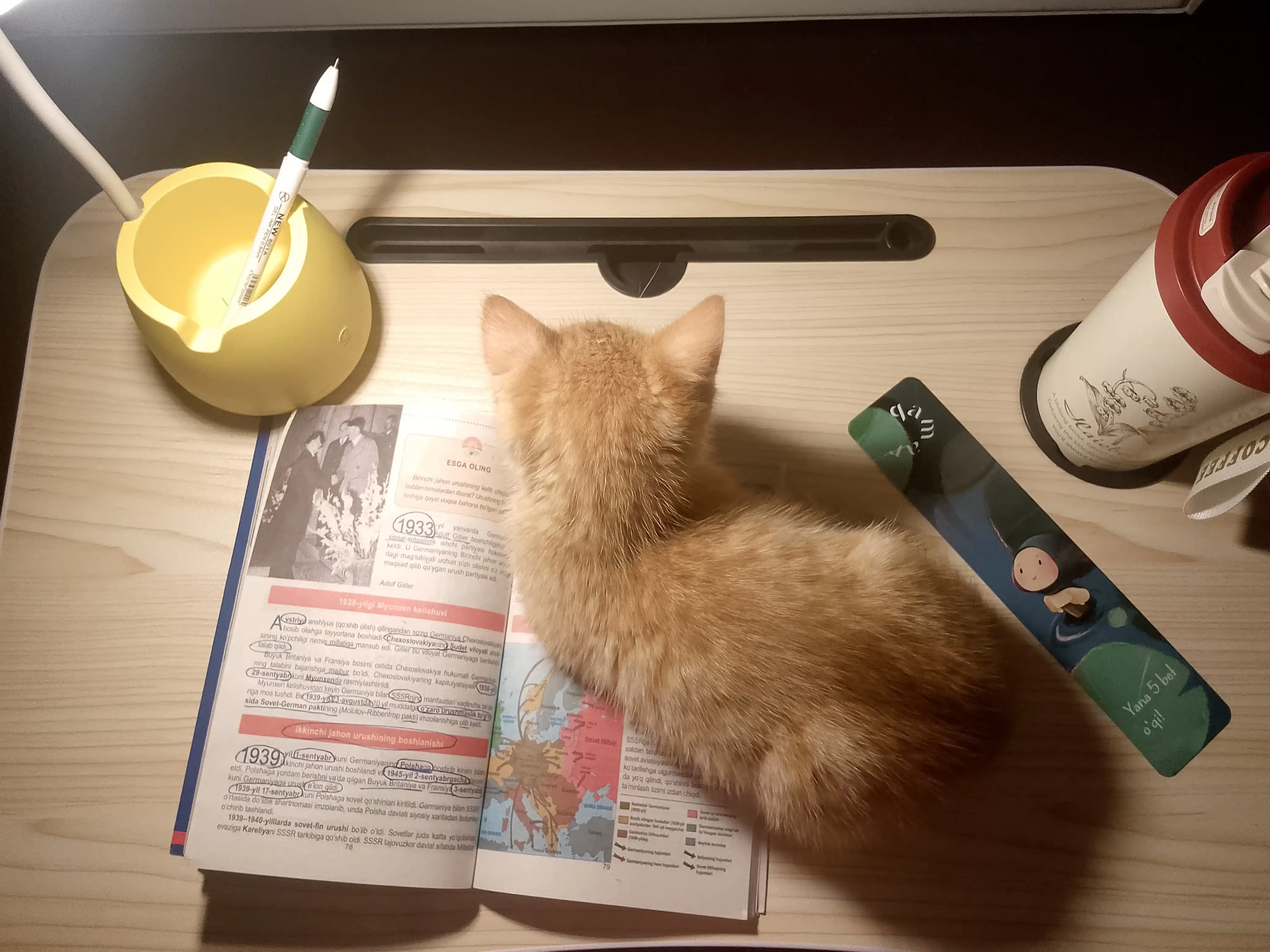 Стол для ноутбука, складной, многофункциональный, эргономичный дизайн, для дома и офиса