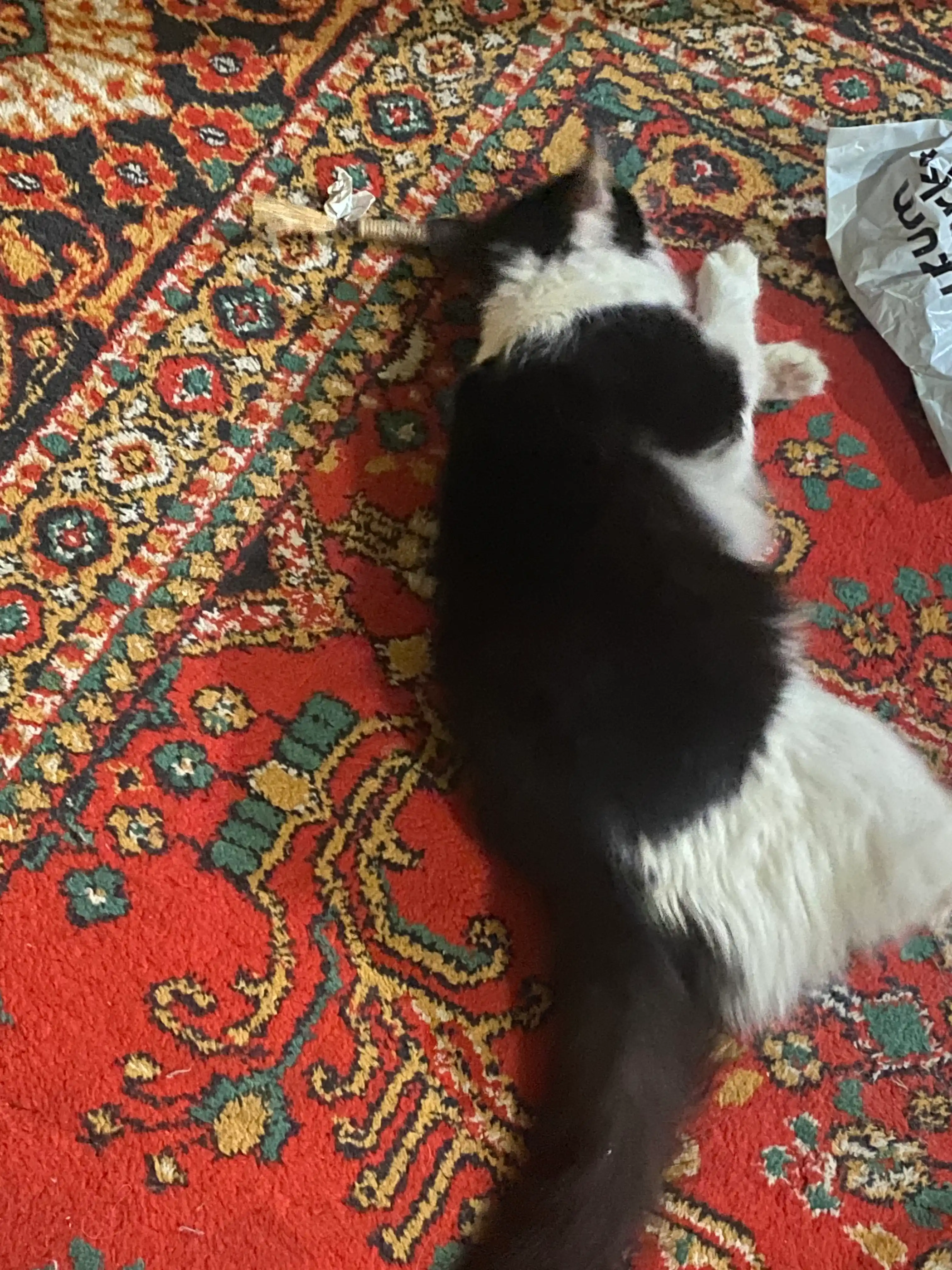 Кошачья мята для кошек, палочка