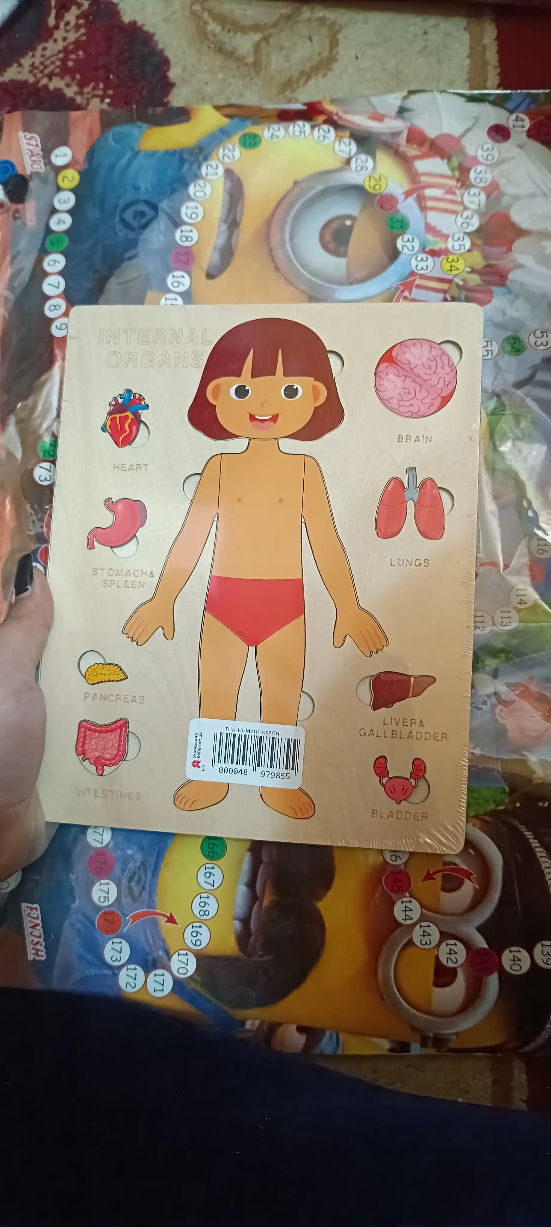 Пазлы для детей, деревянные развивающие игрушки, анатомия