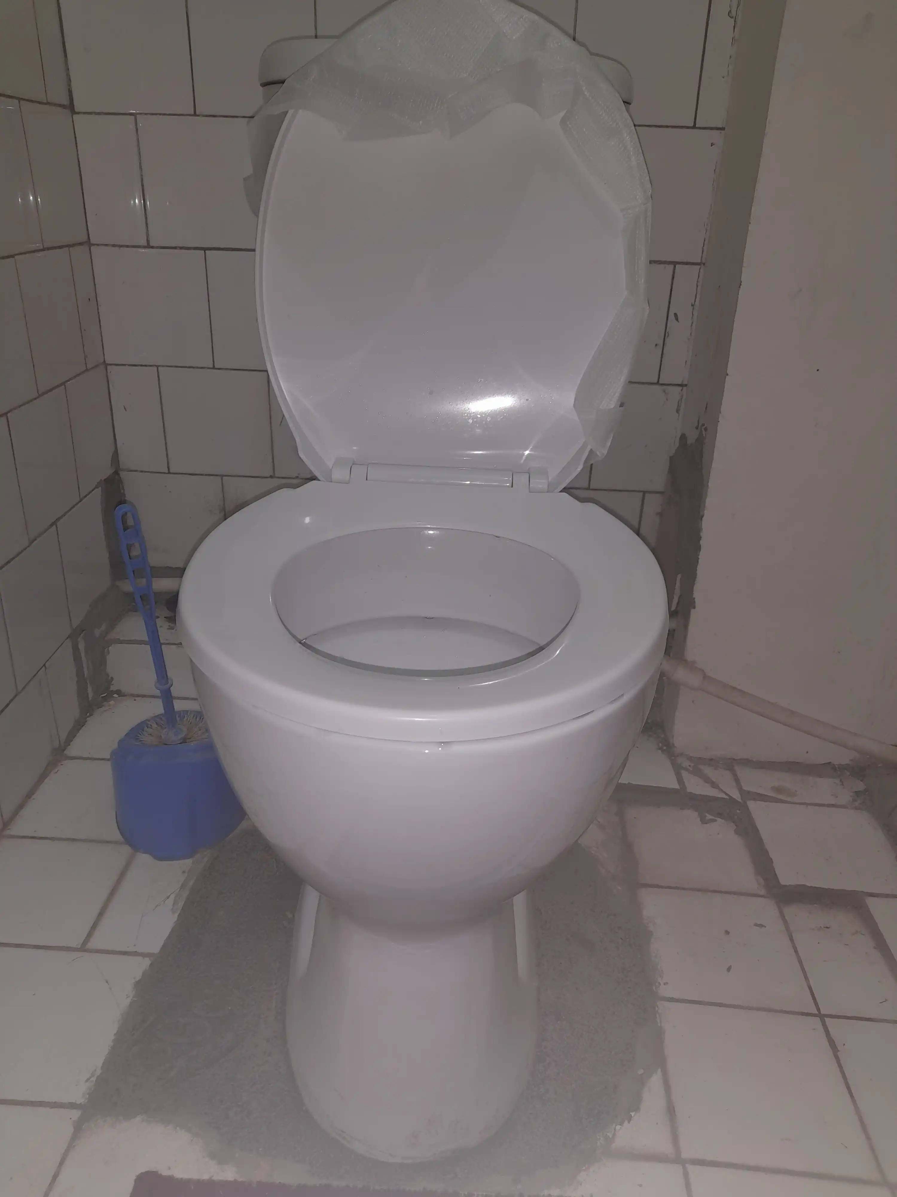 Унитаз Жемчуг , с механизмом и сиденьем