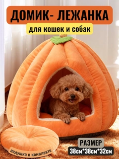 Оранжевый