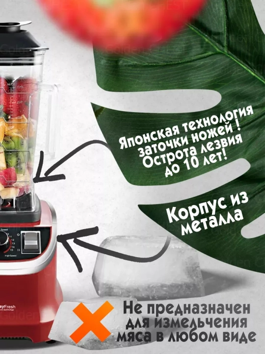 4800W statsionar blender, 10 tezlikda, 2800 ml hajmli idish + quruq tegirmon, qahva maydalagich