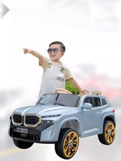 Ледяной