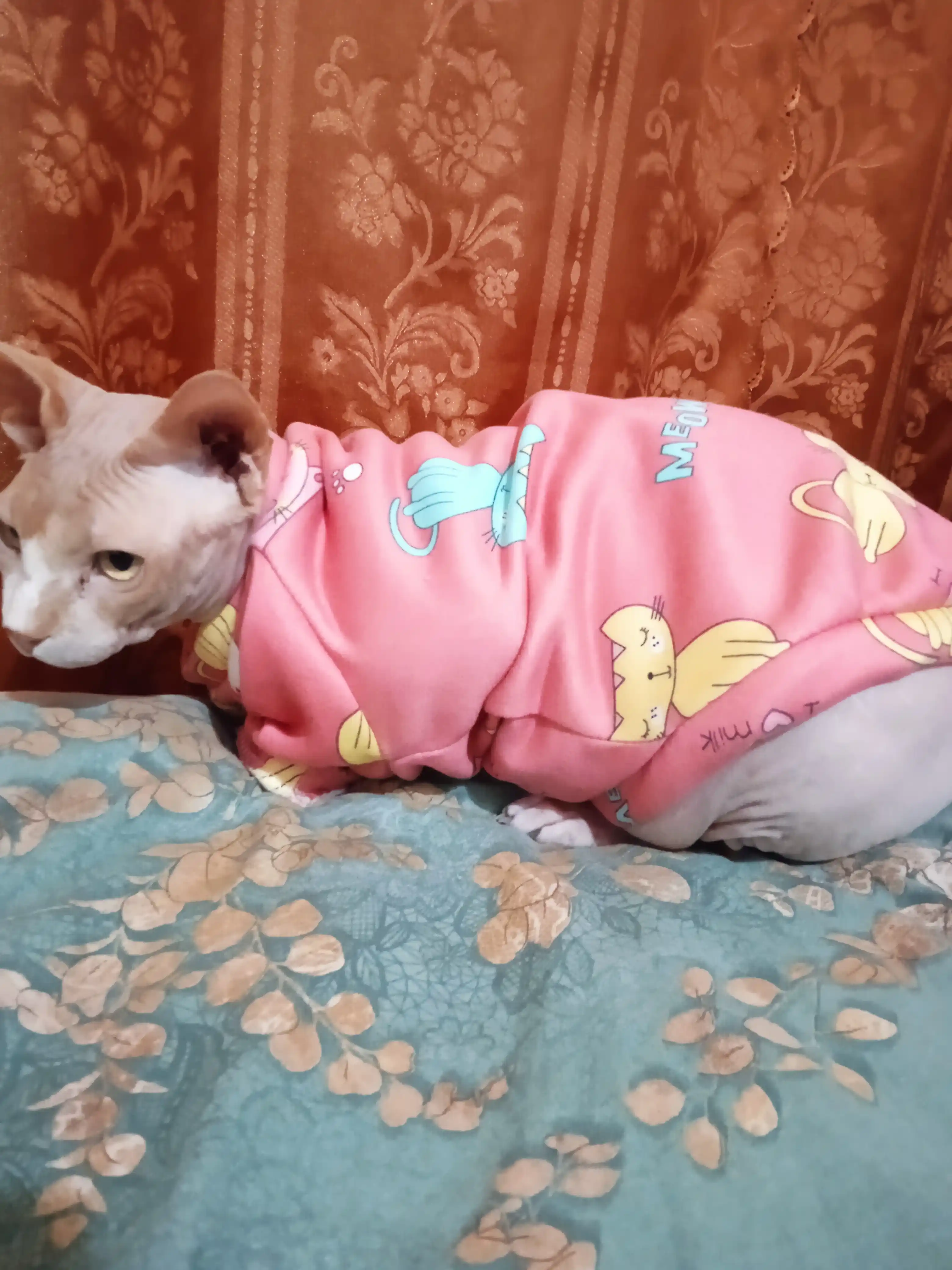 Толстовка, одежда, теплая, для маленьких собак, для животных
