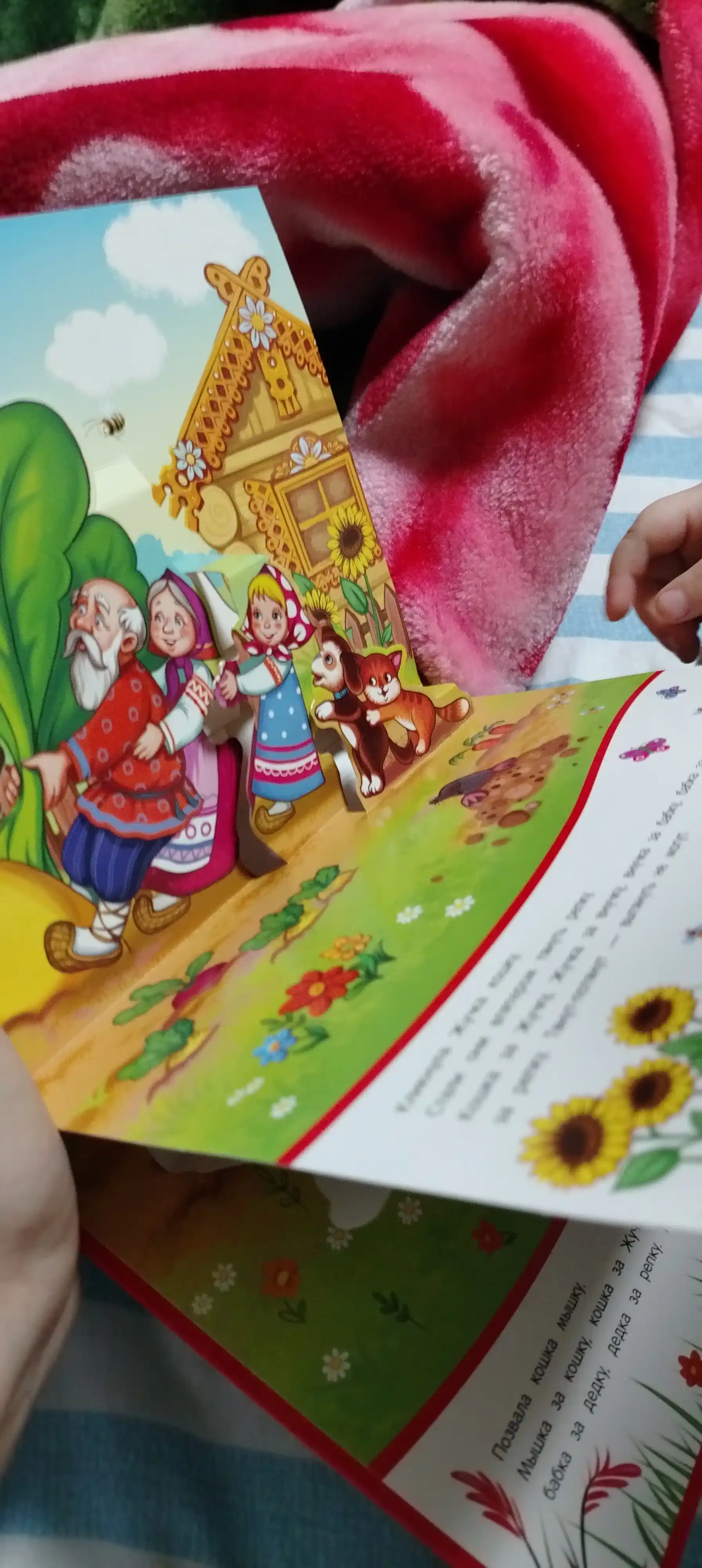 Karton pop-ap ertaklar Malamalama: 3D kitoblar bolalar uchun rus tilida