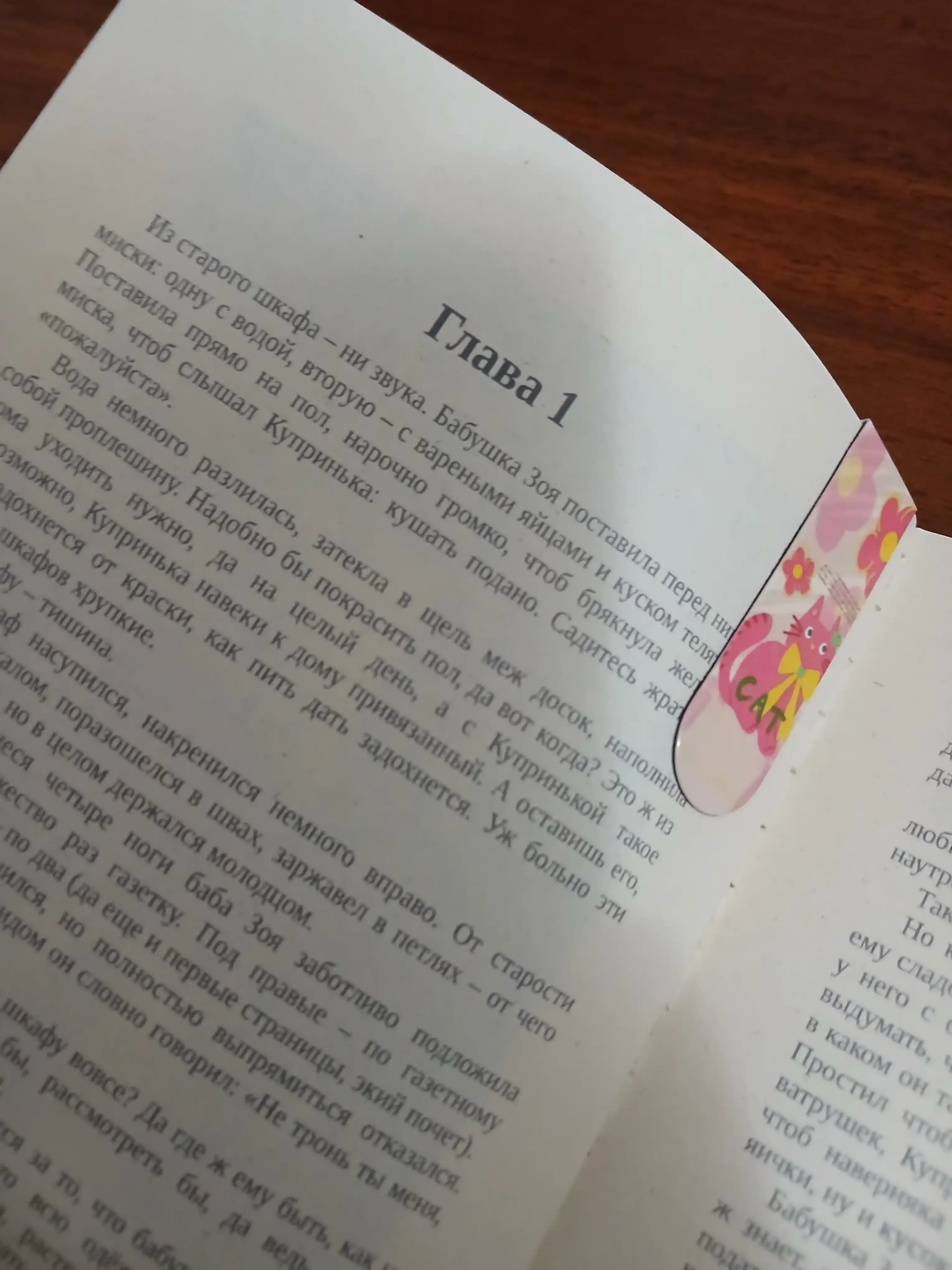 Babushka skazala sidet tikho, Renzhina Nastasya