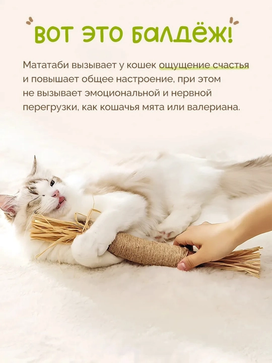Кошачья мята для кошек, палочка мататаби натуральная дразнилка