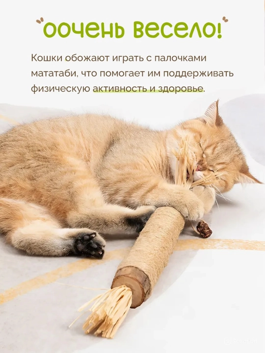 Кошачья мята для кошек, палочка мататаби натуральная дразнилка