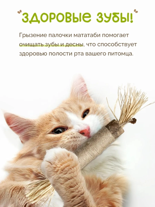 Кошачья мята для кошек, палочка мататаби натуральная дразнилка