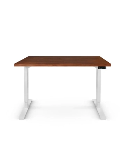 StolStoya Компьютерный стол с электрической регулировкой высоты BAZALT 140*70 SE212W140AO — СТОЛМАГ-SE212W140AO