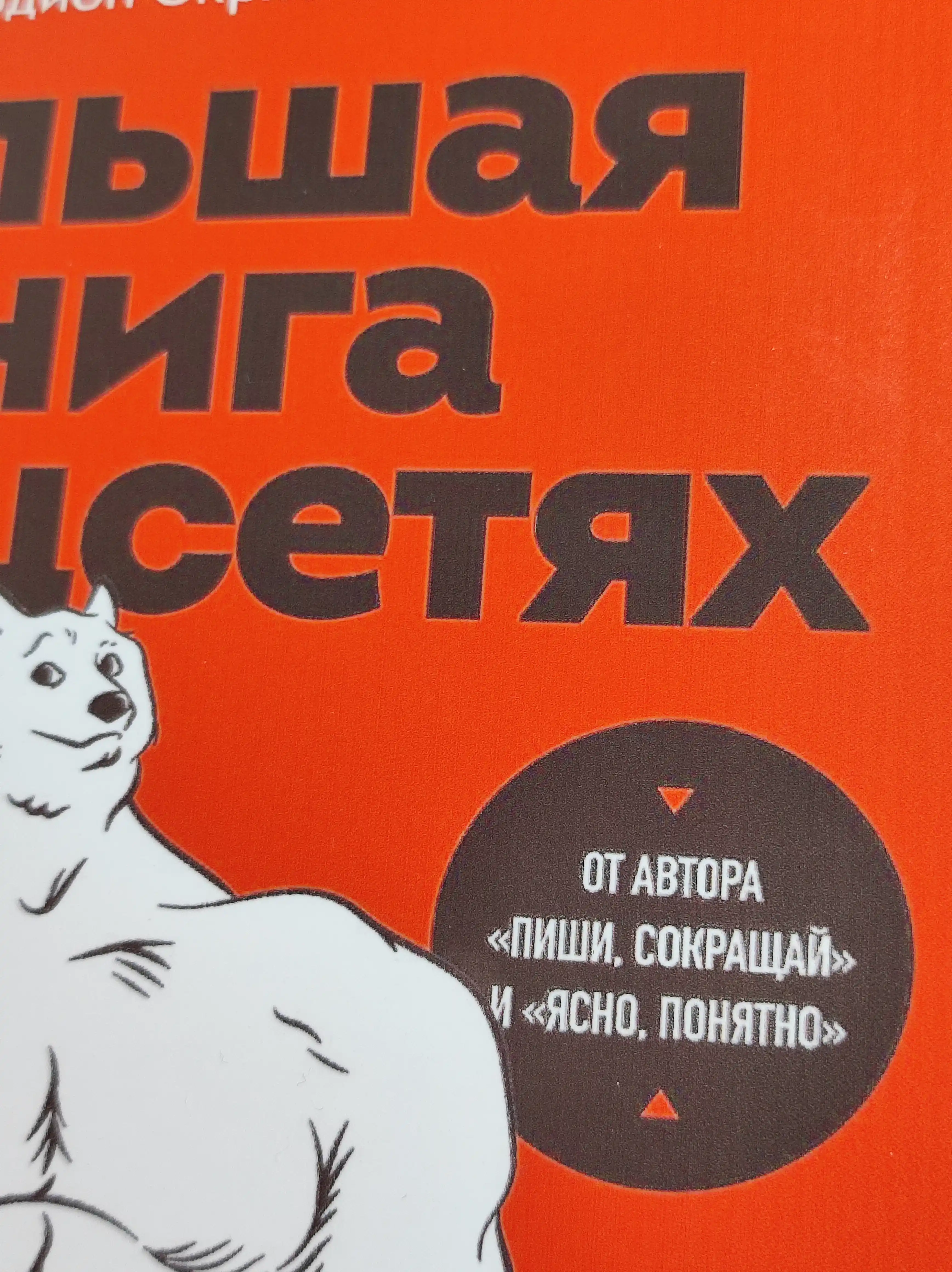 Большая книга о соцсетях для предпринимателей, экспертов и блогеров