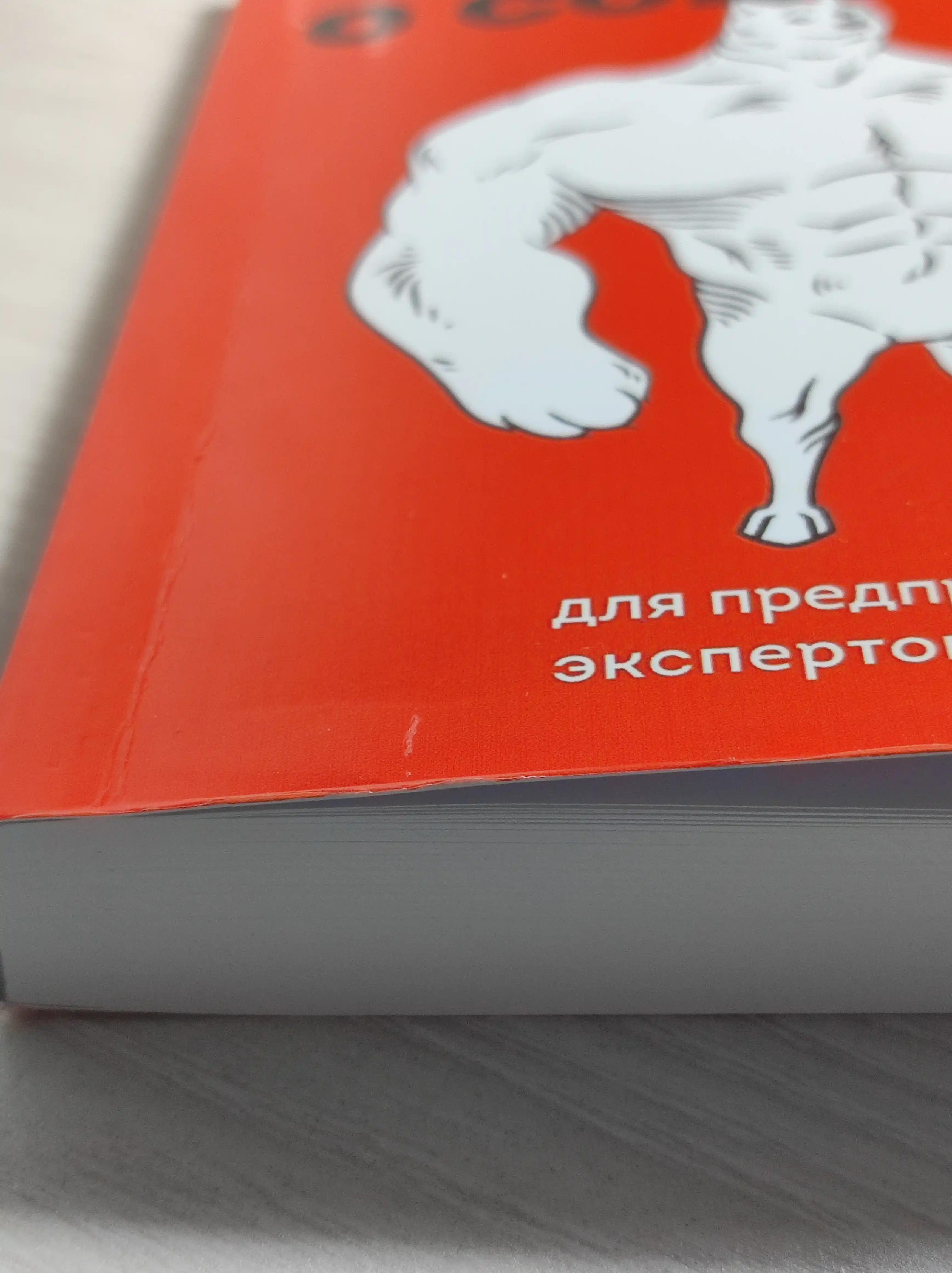 Большая книга о соцсетях для предпринимателей, экспертов и блогеров