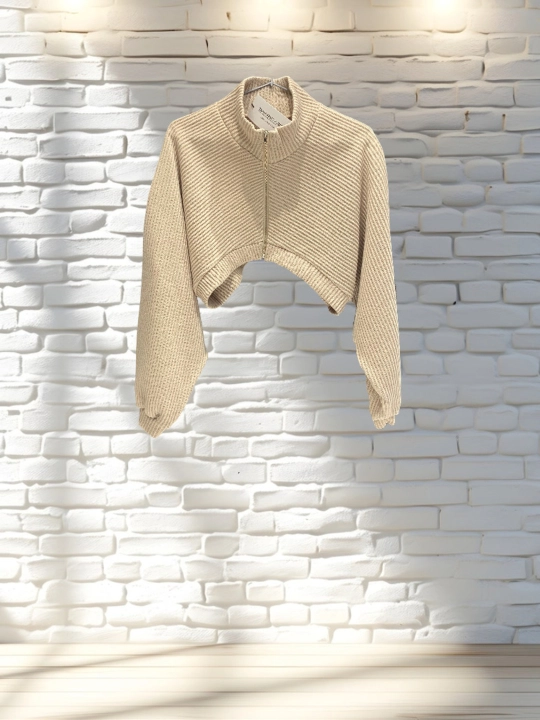 Koreya brendining qisqa kropli zip-xudi
