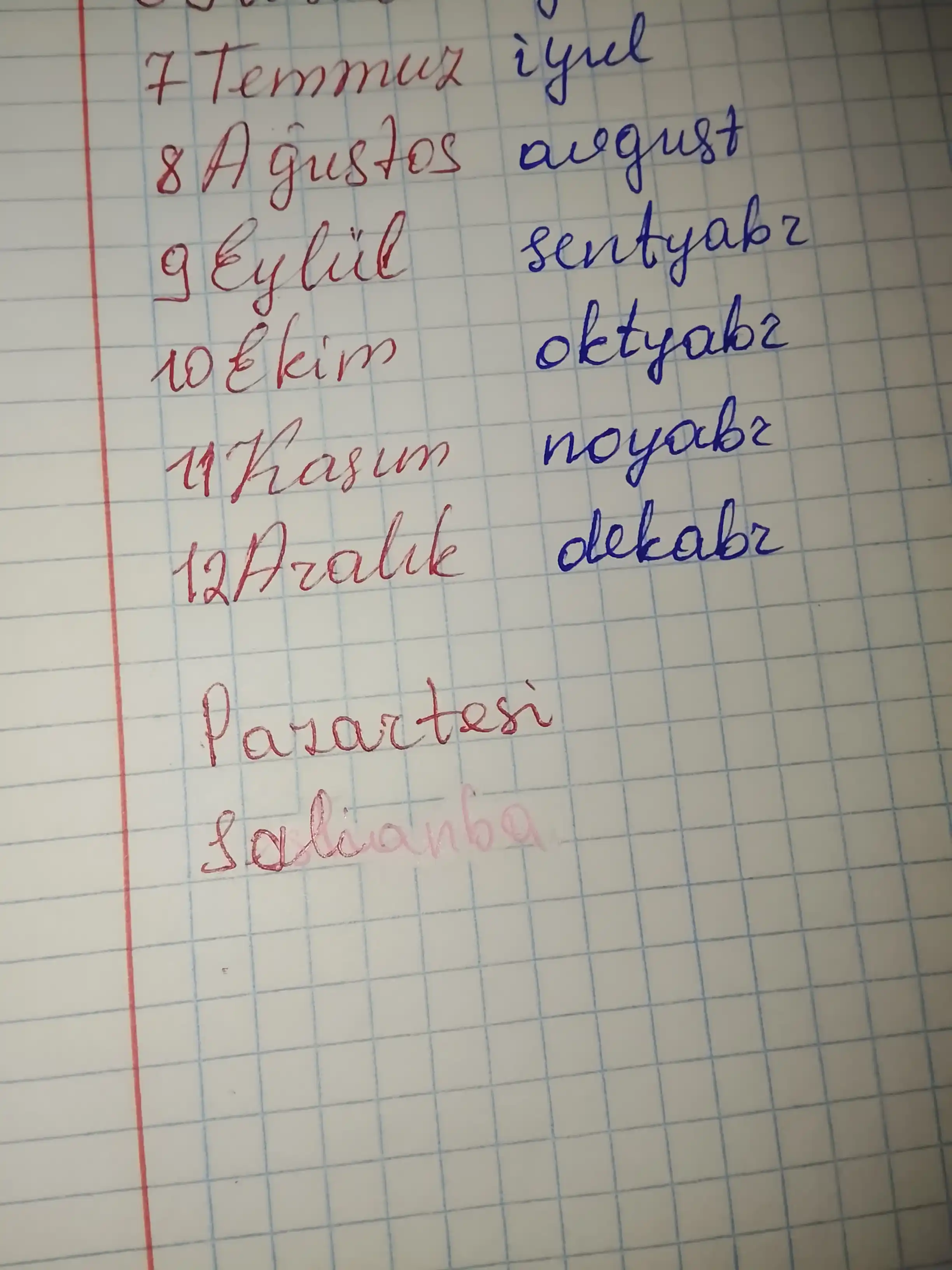 Ofis korrektori WBDolphin, bosma va qo'lda yozilgan matn, zarba uchun