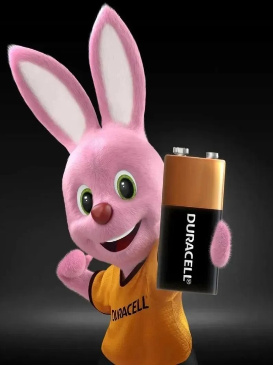 Duracell batareyka AAA,AA,AAA+AA,MN 27,MN 21,LR14 C,LR20 D,CR2016,CR2025,CR2032, va Krona