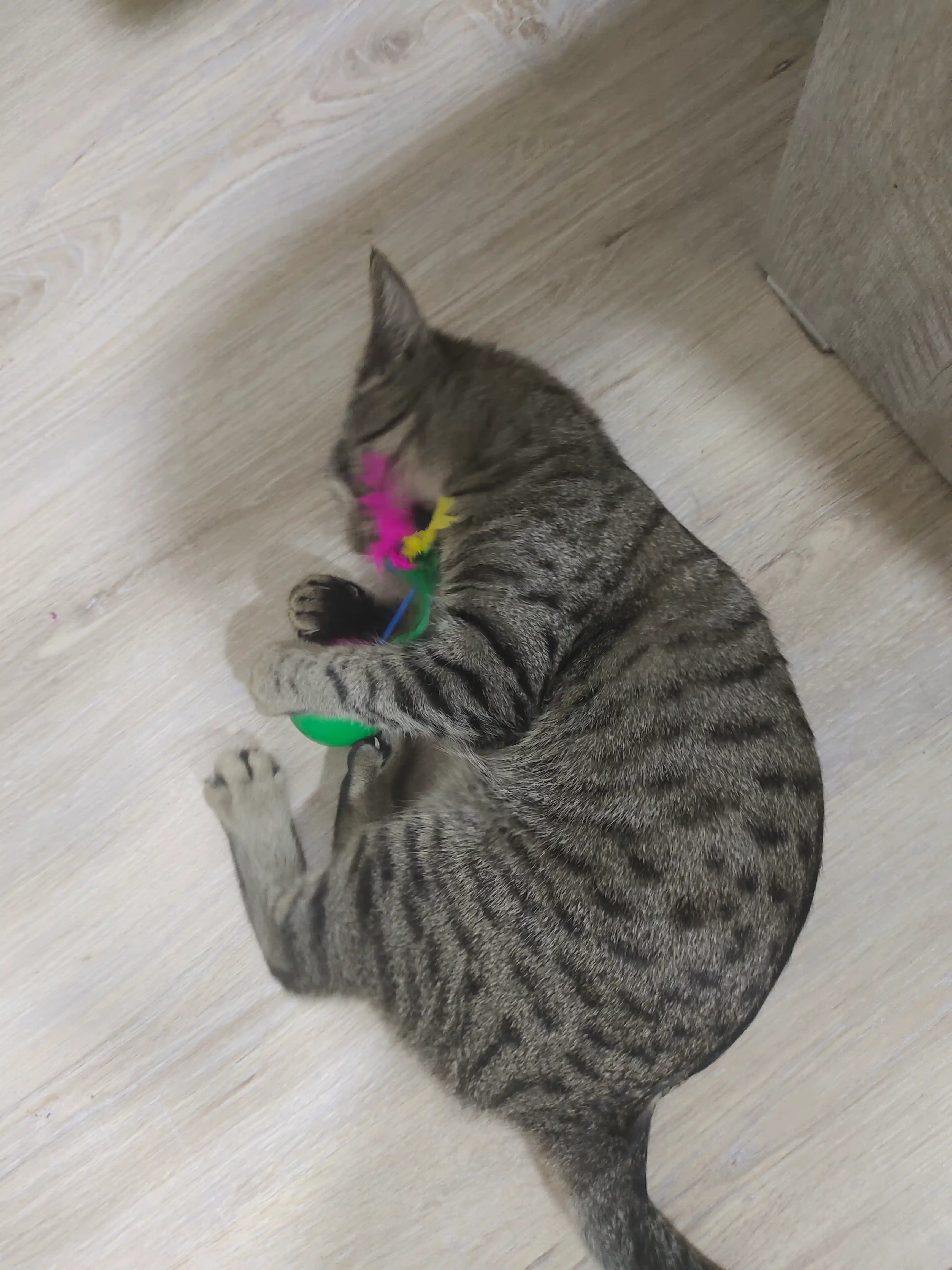 Игрушка для кошек неваляшка, шарики с мышкой, пластиковый