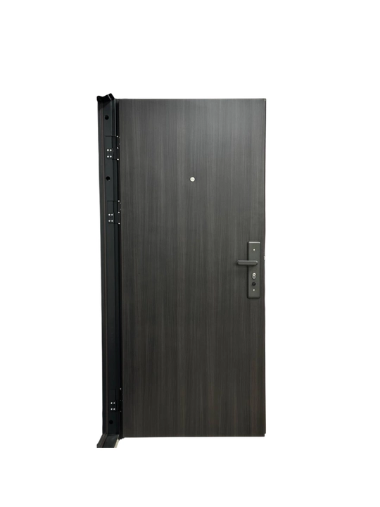 Kirish eshig'i PS-01, temirdan 2050/960/70