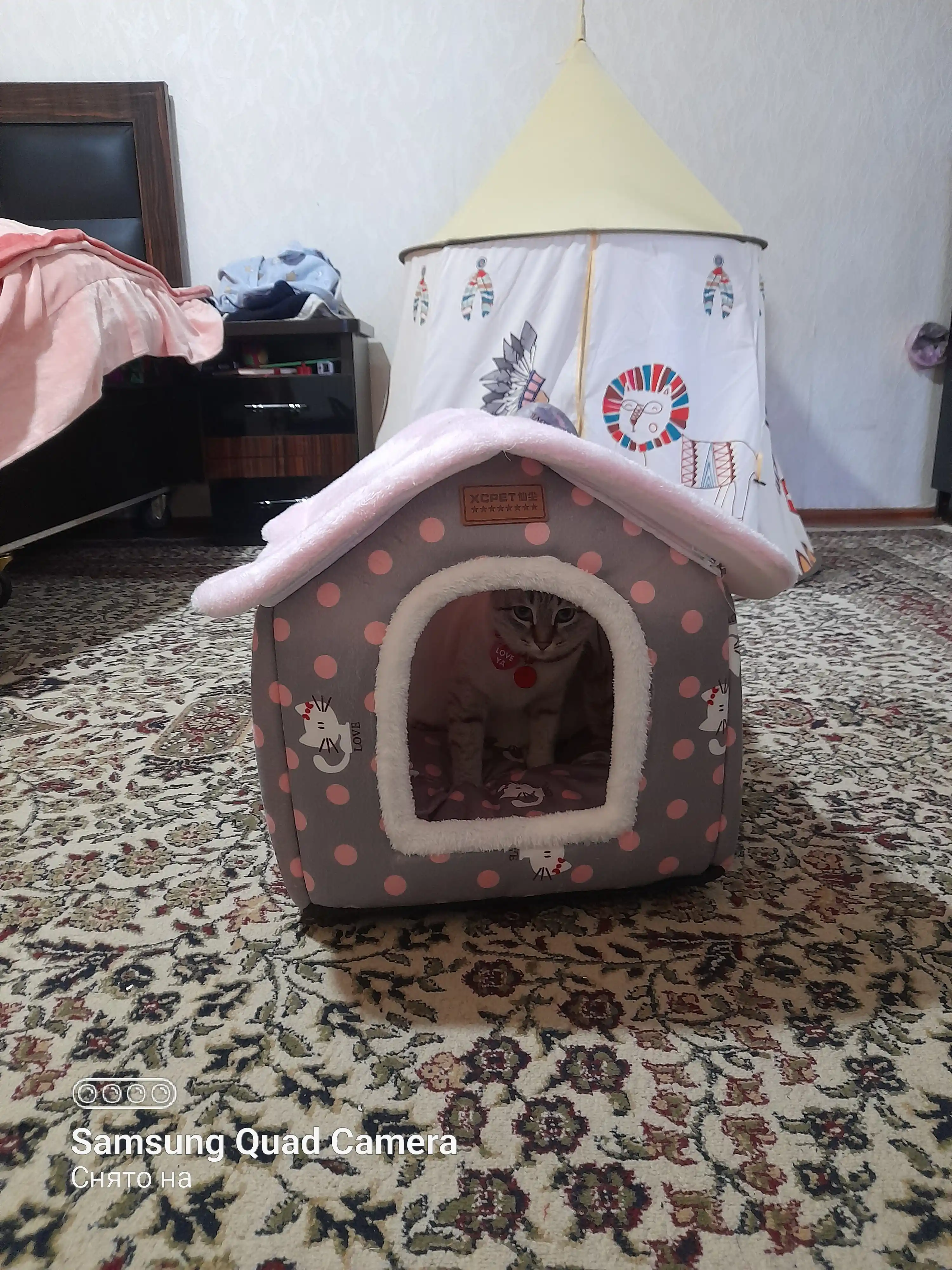 Домик для кошек