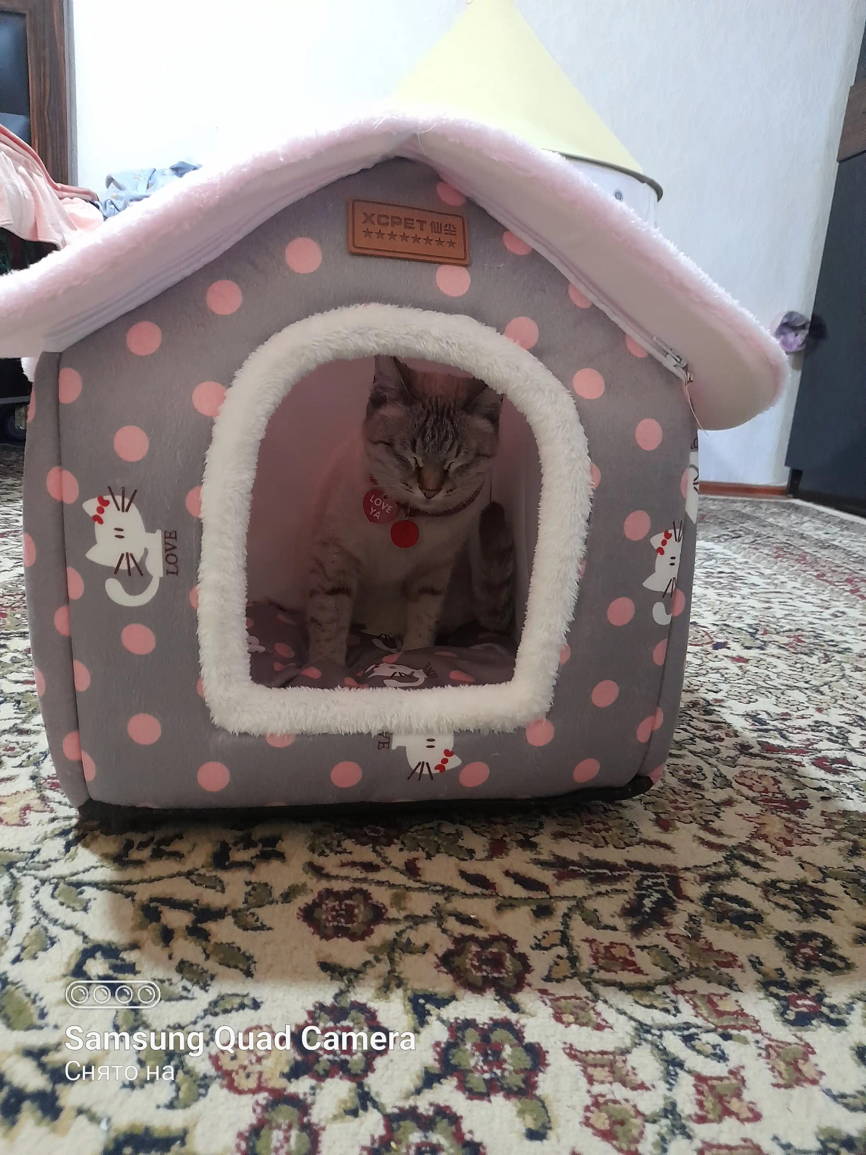 Домик для кошек