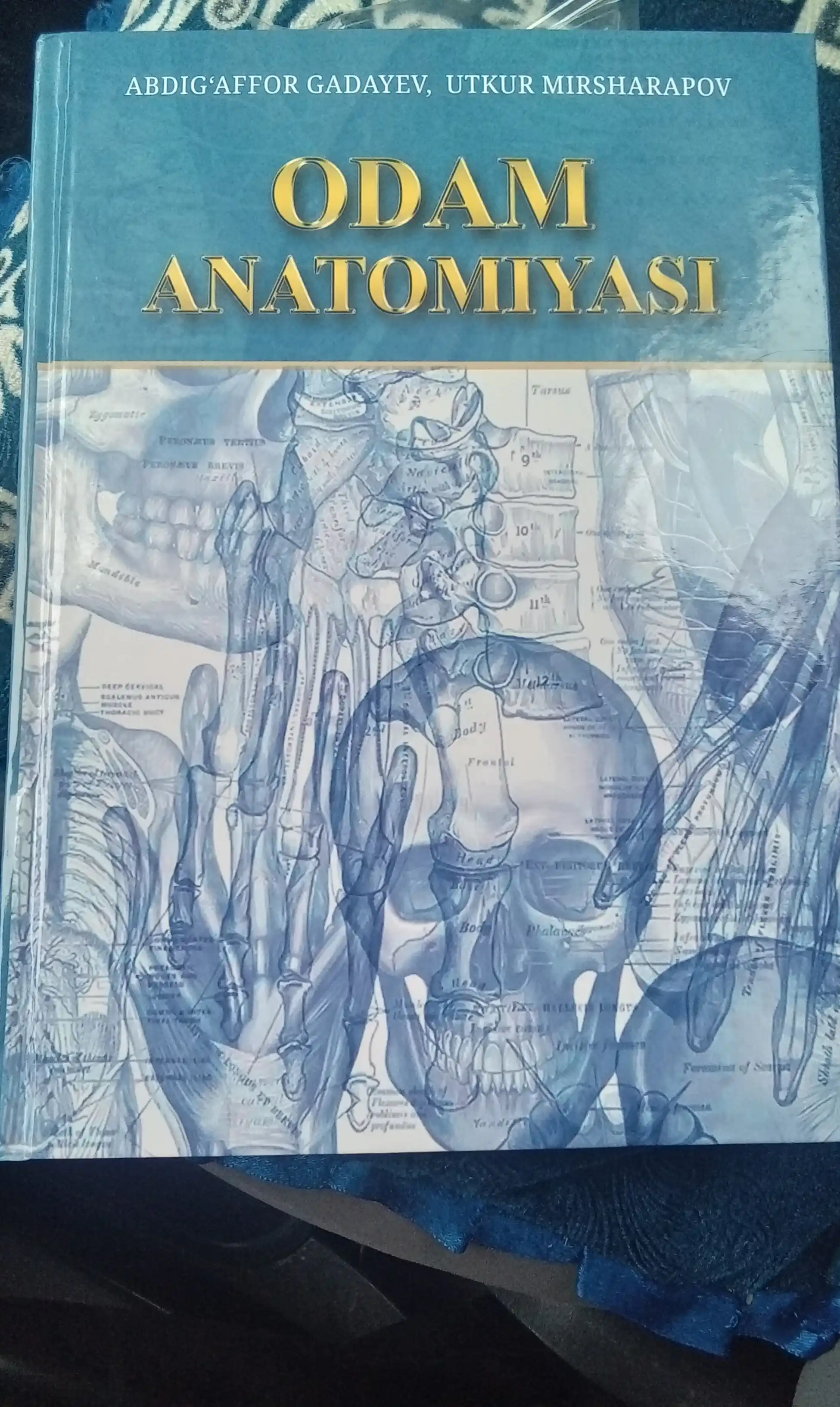 Тиббиёт китоби, Одам Анатомийаси, Абдуг'аффор Гадаyев, А4 Анатомийа