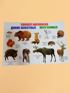 Салатовый