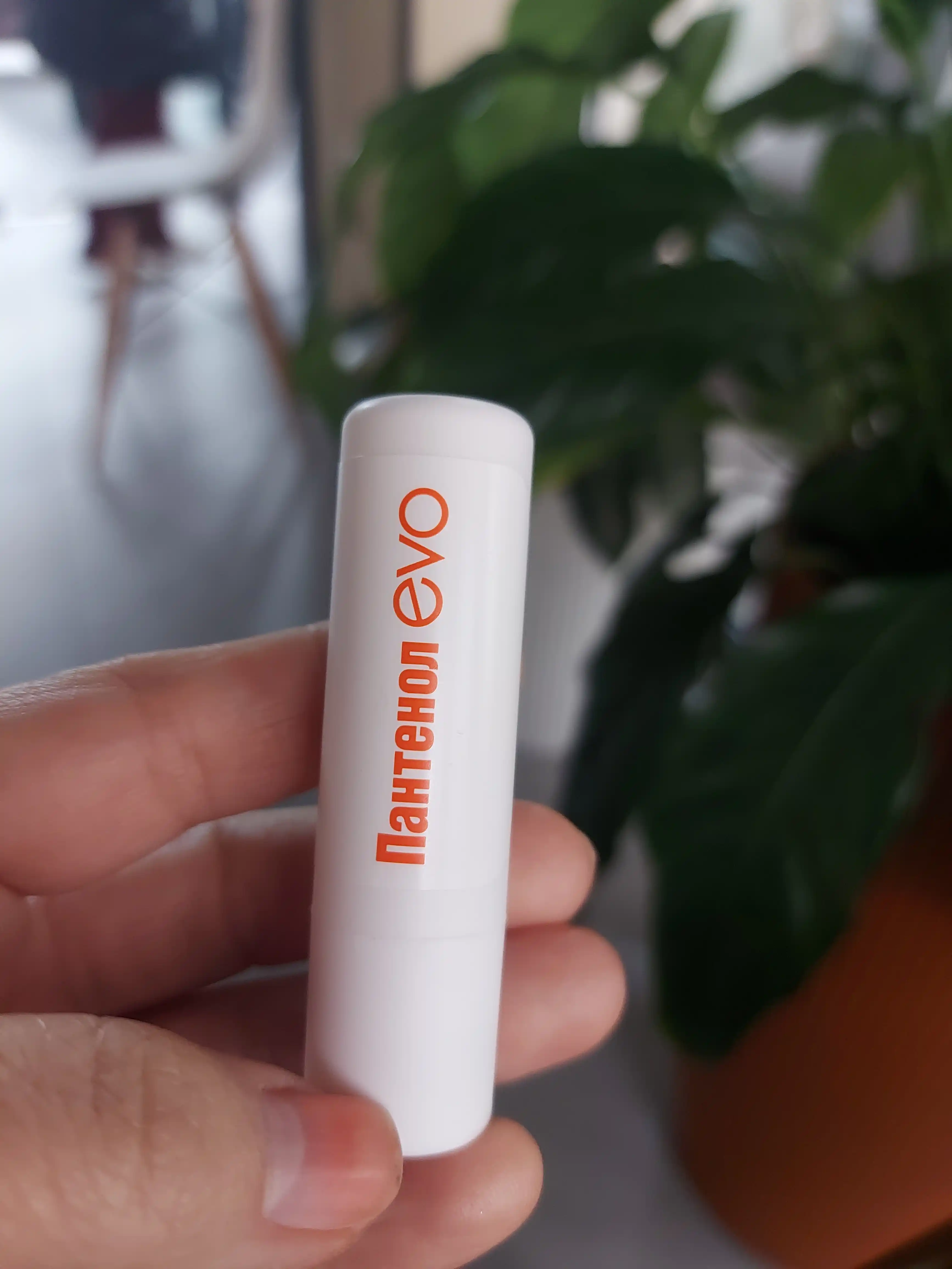 Quruq va shamollagan lab terisi uchun "Pantenol EVO" gigiyenik lab bo‘yog‘i, 2,8 g