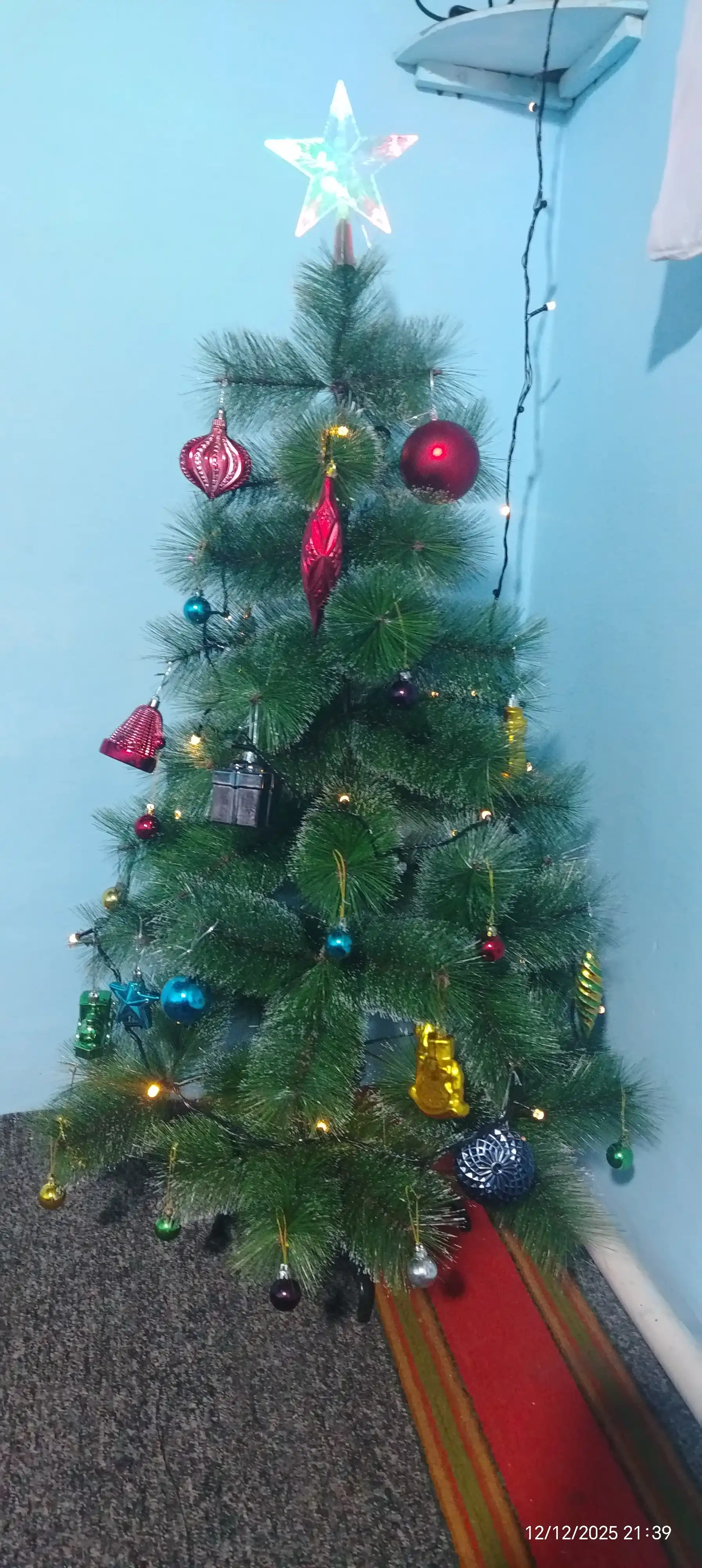 Olovli archa bezagi yulduzi