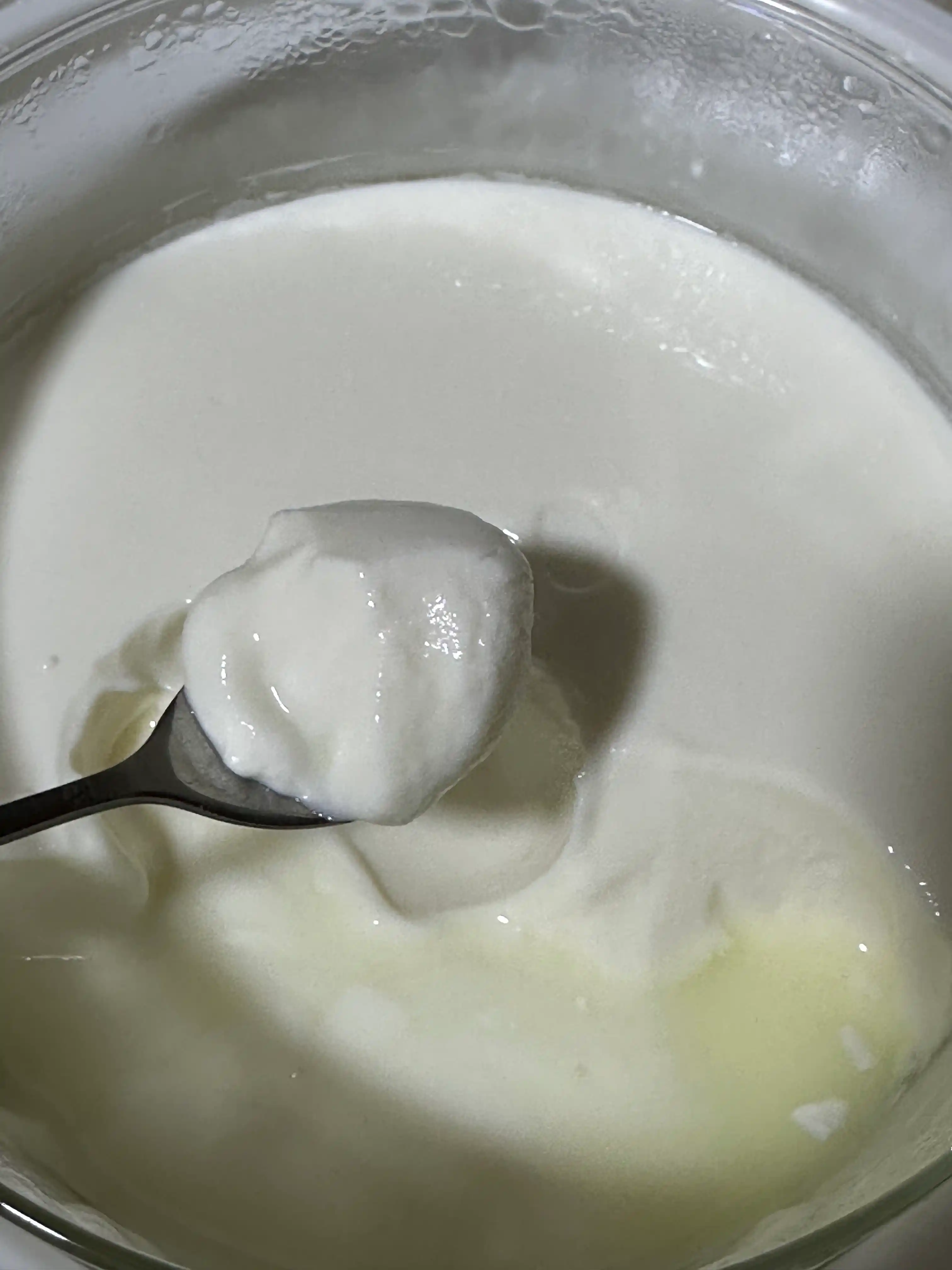 Inulin – immunitet va hazm qilish uchun o‘simlikdan olingan prebiotik, 100 g