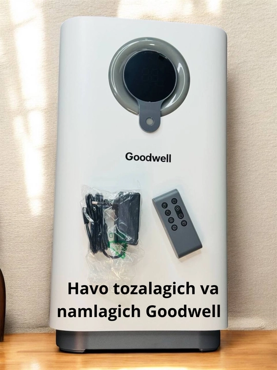 Очиститель и увлажнитель воздуха Goodwell 40 кВт, программируемый