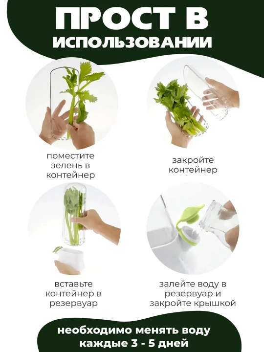 Ko‘kat saqlash konteyneri, suv rezervuarli muzlatgich organayzeri 500 ml