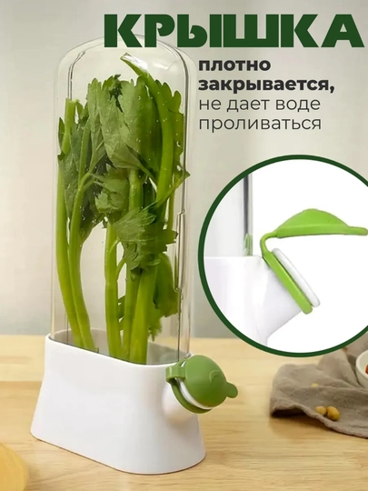 Ko‘kat saqlash konteyneri, suv rezervuarli muzlatgich organayzeri 500 ml
