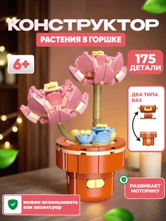 Пастельно-коралловый